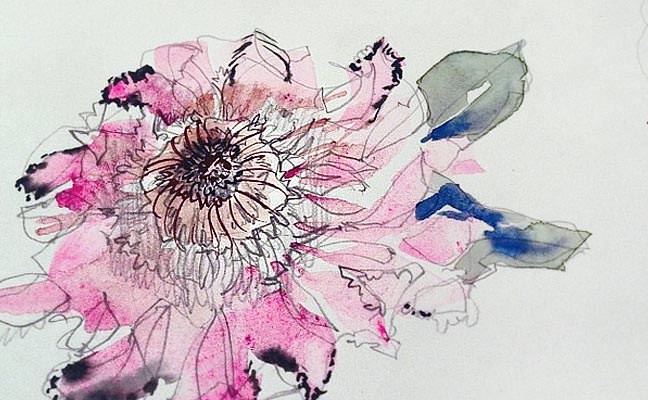 Watercolor Protea Pink
