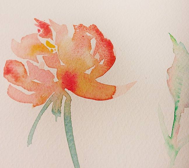 Peach Peony Watercolor