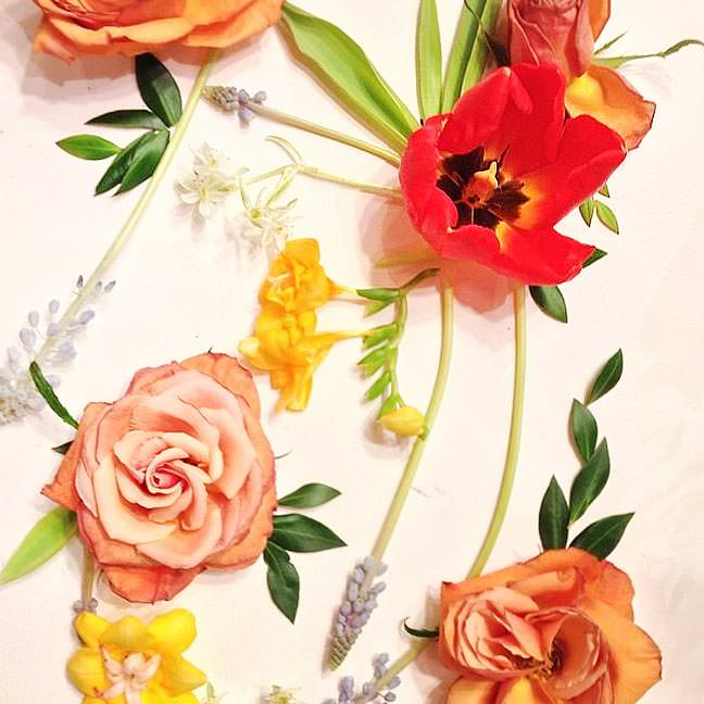 Tulip, Jasmine and Garden Rose Composition